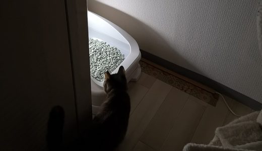 IoT猫トイレ「toletta」